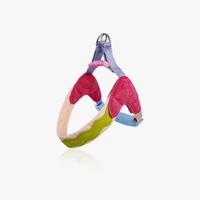 Maogoublue Island V-Shaped Dog Harness