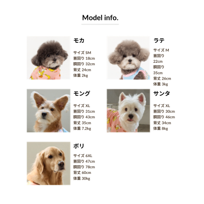 サイズチャート