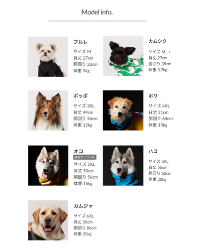 サイズチャート