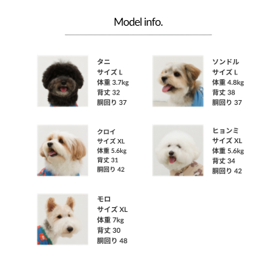 サイズチャート