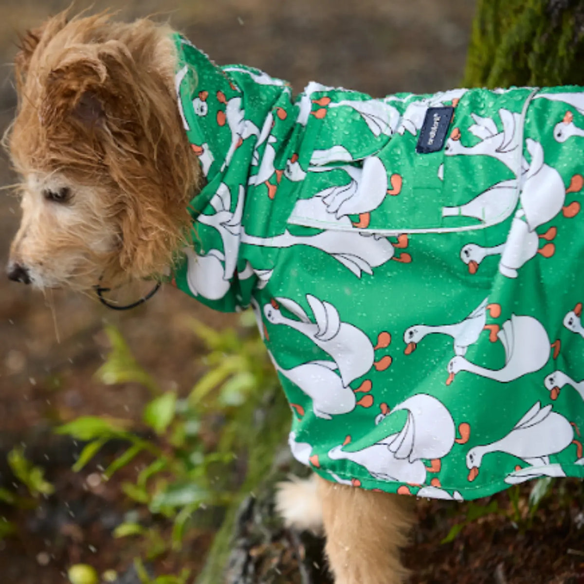 andblank Raincoat Jacket