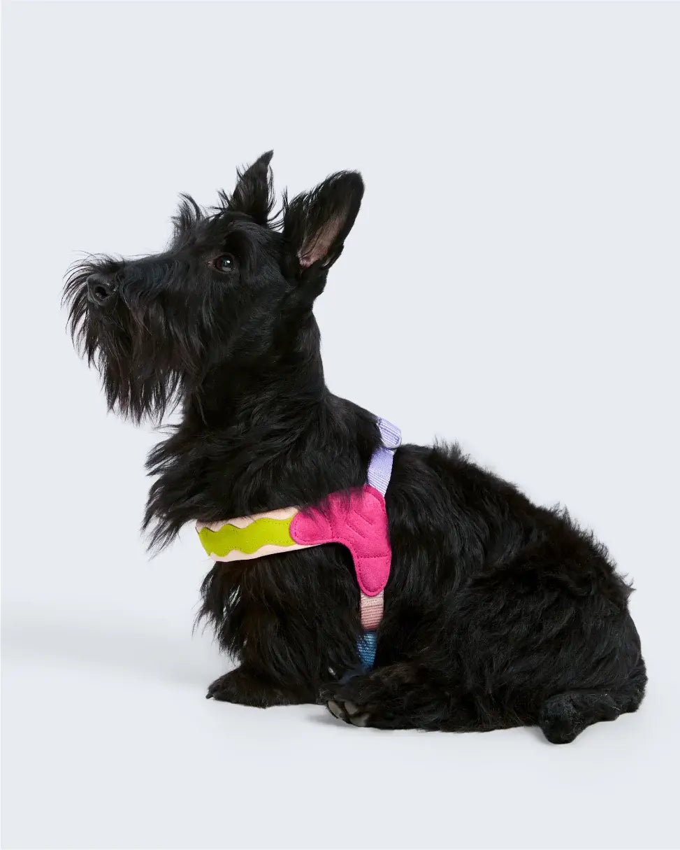 Maogoublue Island V-Shaped Dog Harness (Hawaii)