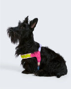 Maogoublue Island V-Shaped Dog Harness (Hawaii)
