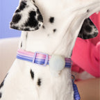 Maogoublue Marshmallow Collar