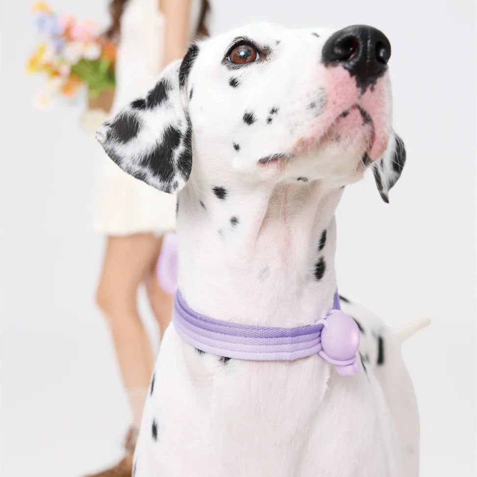 Maogoublue Marshmallow Collar