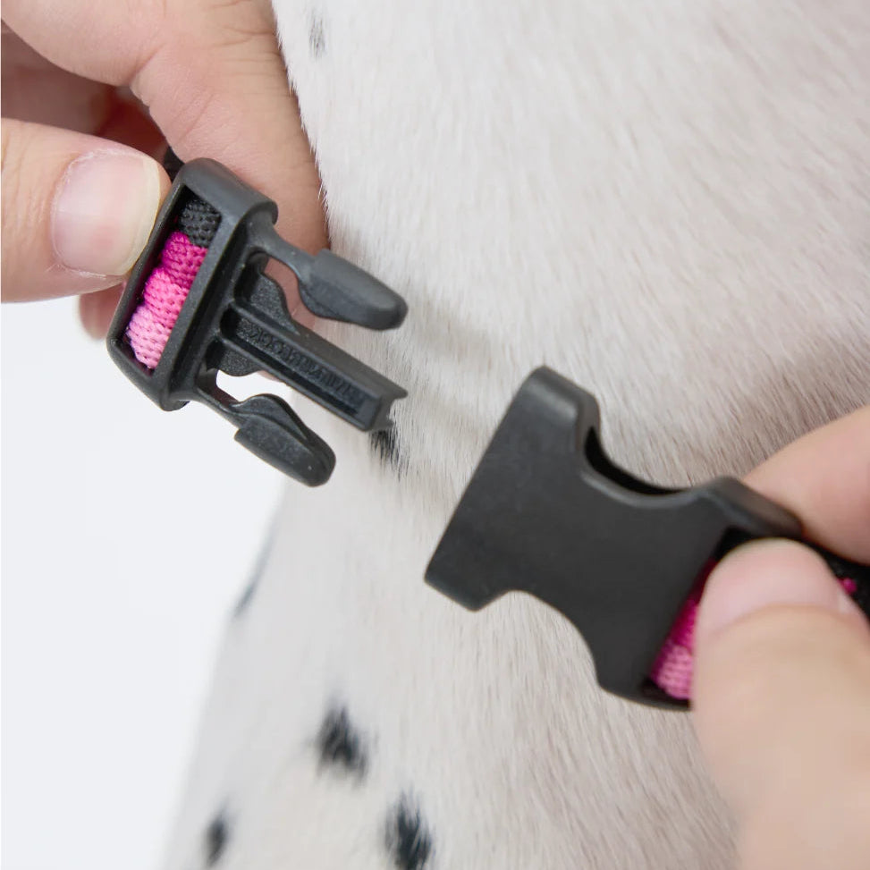 Maogoublue Marshmallow Collar