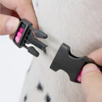 Maogoublue Marshmallow Collar