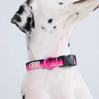 Maogoublue Marshmallow Collar