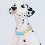 Maogoublue Marshmallow Collar