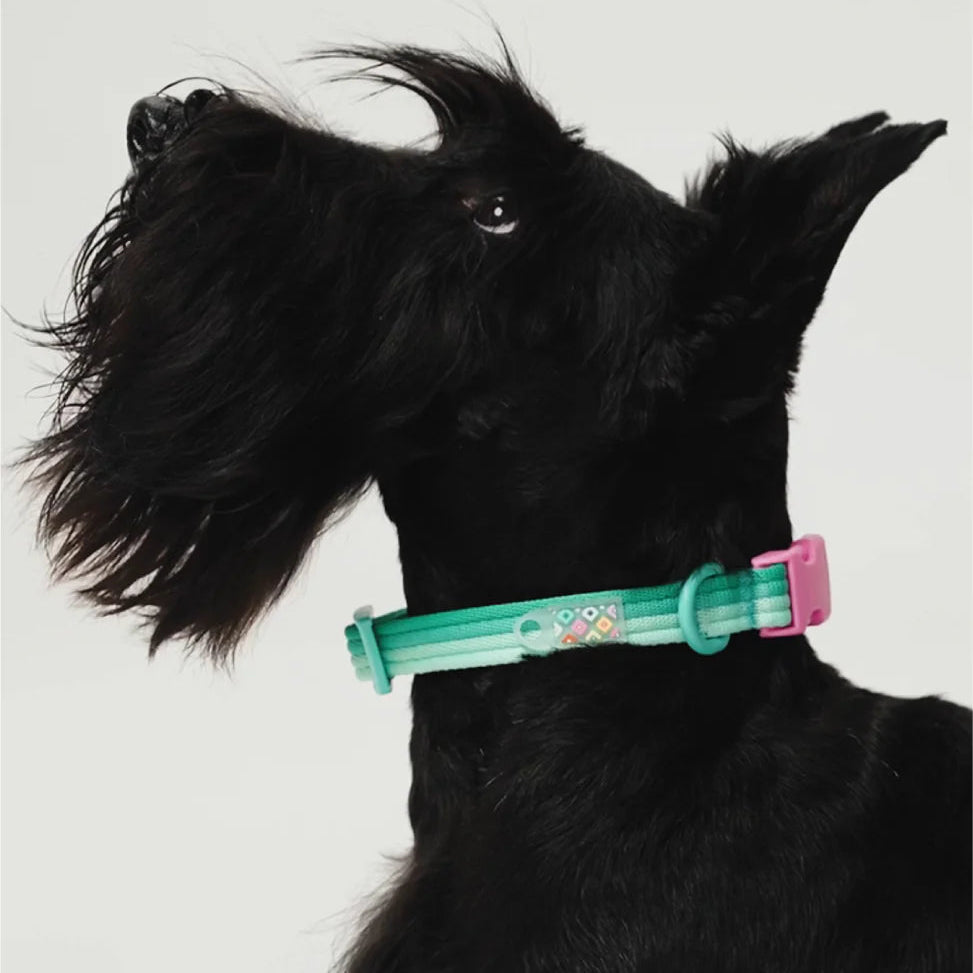 Maogoublue Marshmallow Collar