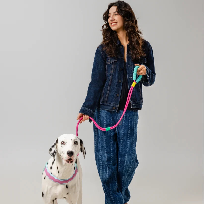 Maogoublue Marshmallow Smart Dog Leash