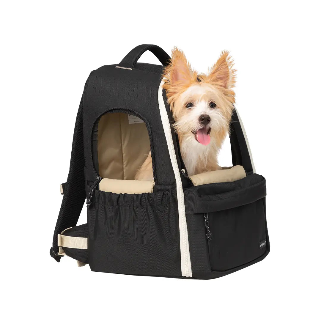 andblank [SET] Day Pack V3 + Cushion