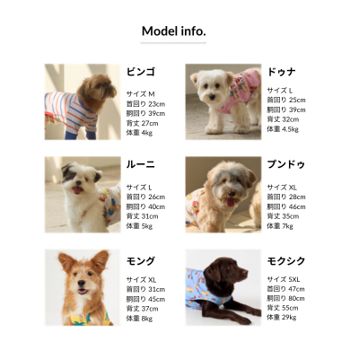 サイズチャート