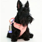 Maogoublue Central Park Harness