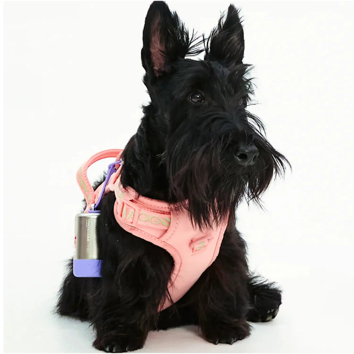 Maogoublue Central Park Harness