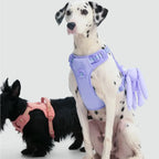 Maogoublue Central Park Harness