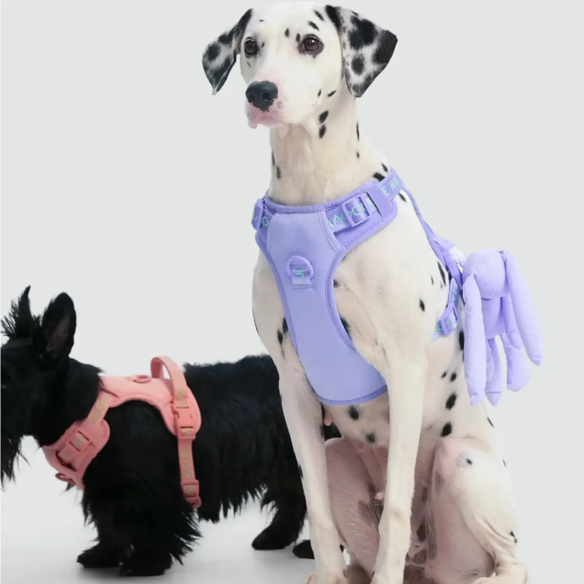 Maogoublue Central Park Harness