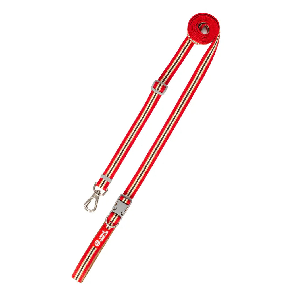 [Andblank x Camel] ABC™ Stripe Hands Free Leash