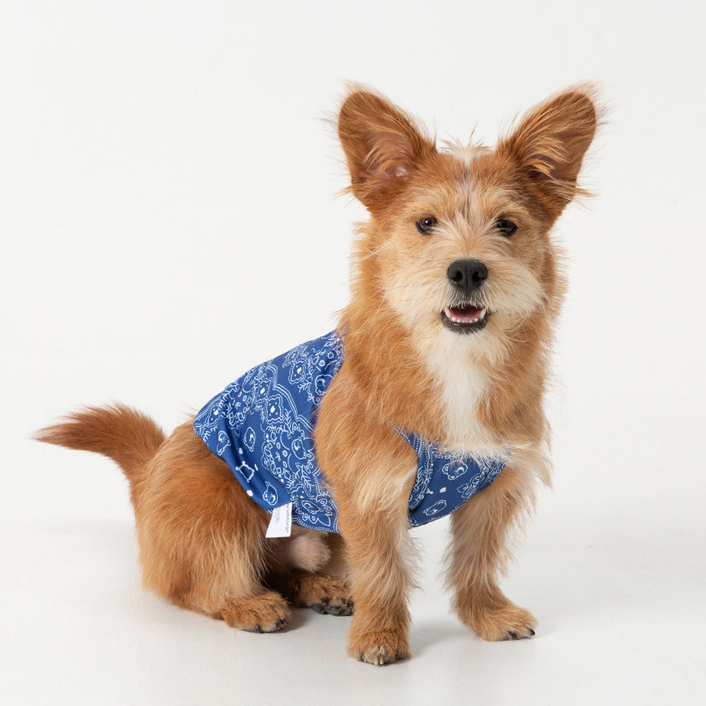 andblank Joy Bear Bandana Bug Guard Cooling Sleeveless