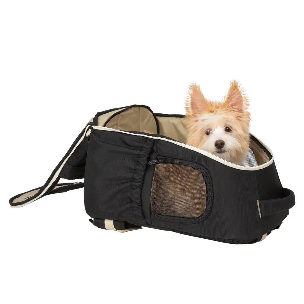 andblank [SET] Day Pack V3 + Cushion
