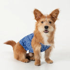 andblank Joy Bear Bandana Bug Guard Cooling Sleeveless