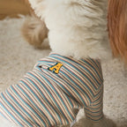 andblank A Stitch SoftWarm Stripe Short Sleeve : Ecru