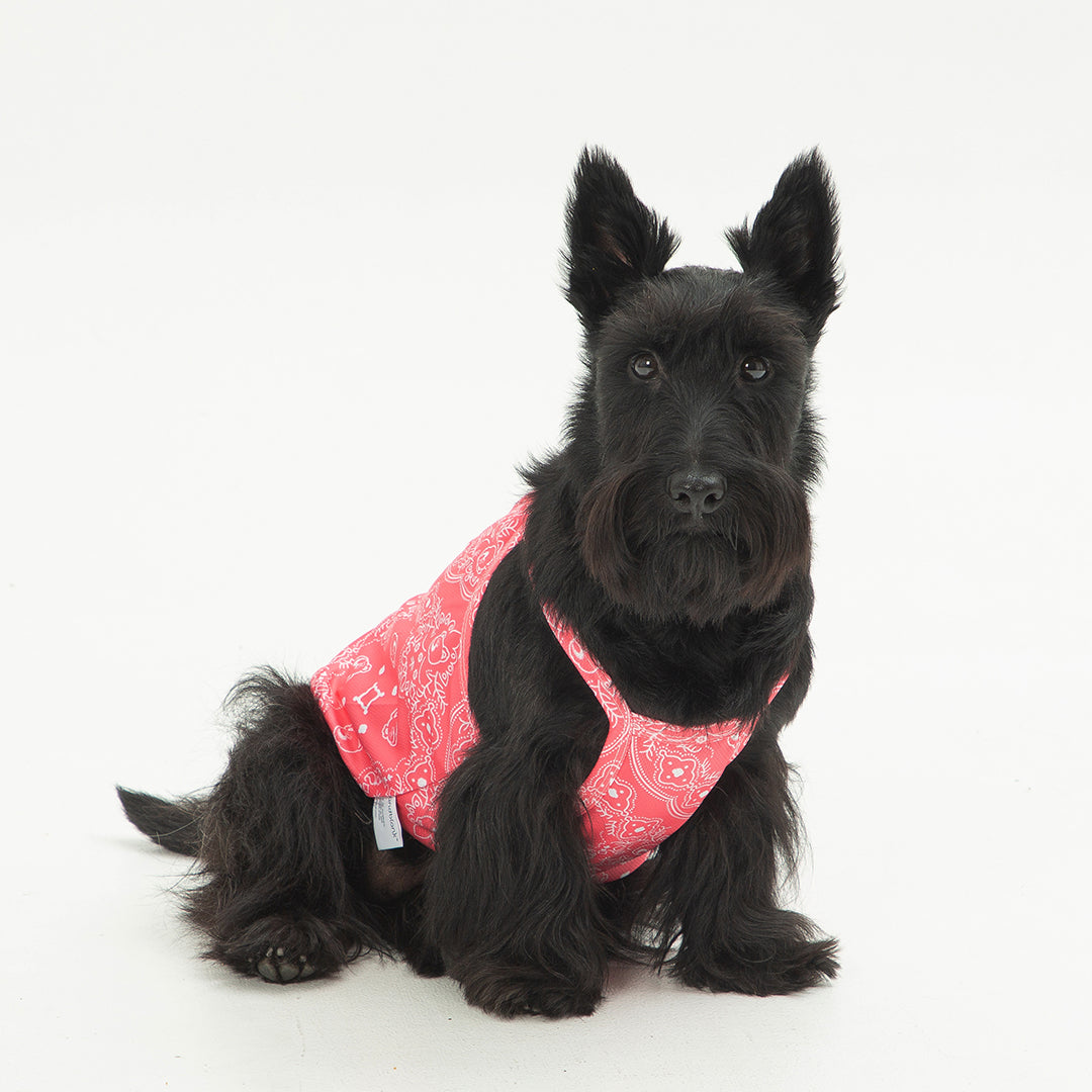 andblank Joy Bear Bandana Bug Guard Cooling Sleeveless