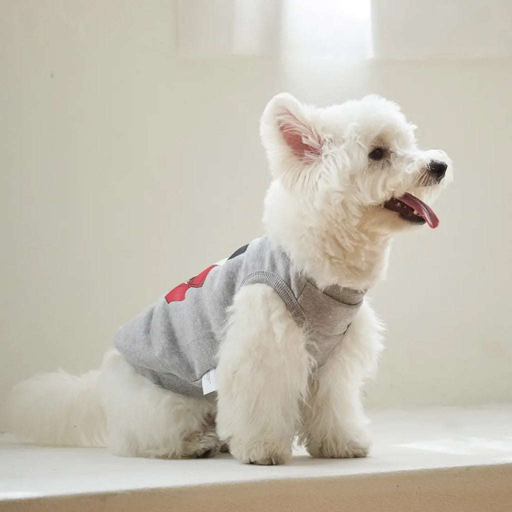 andblank Toy Howdy Sleeveless Sweatshirt: Grey