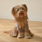 andblank A Stitch SoftWarm Stripe Short Sleeve : Green
