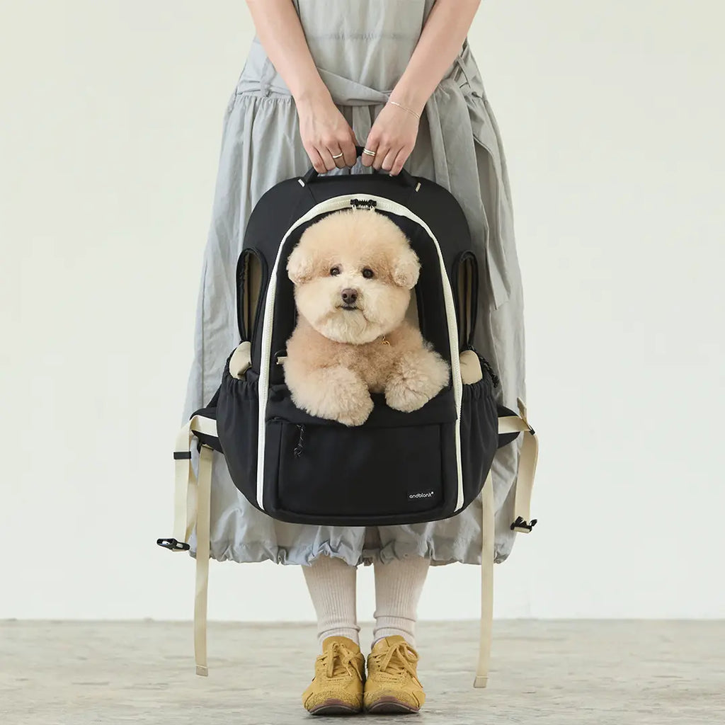 andblank [SET] Day Pack V3 + Cushion