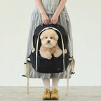 andblank [SET] Day Pack V3 + Cushion