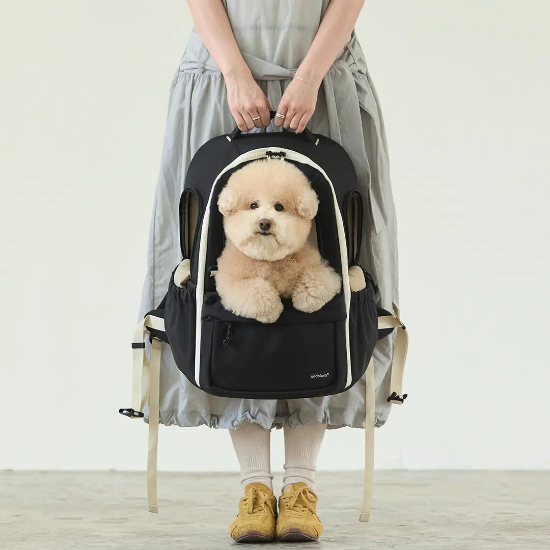 andblank [SET] Day Pack V3 + Cushion