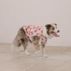 andblank Heart Balloon Joy Bear Bug Guard Cooling Top
