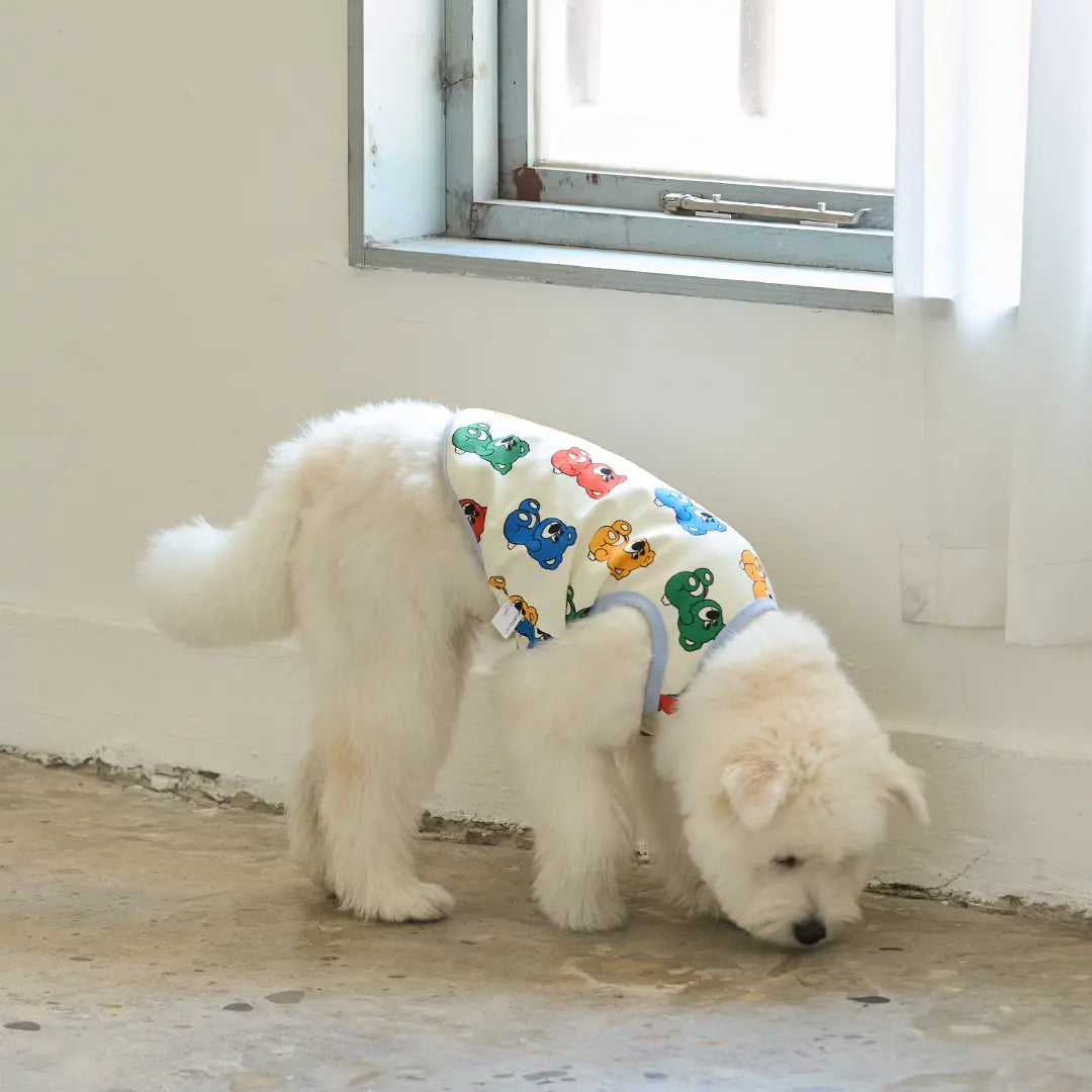 andblank Iconic Joy Bear Sleeveless : Rainbow