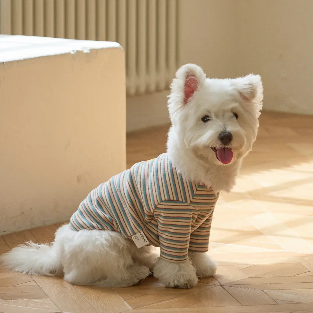 andblank A Stitch SoftWarm Stripe Short Sleeve : Ecru