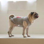 andblank Toy Howdy Sleeveless Sweatshirt: Grey