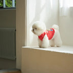 andblank Joy Bear Sleeveless Sweatshirt: Tangerine