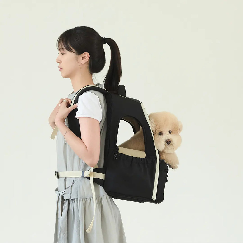 andblank [SET] Day Pack V3 + Cushion