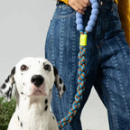 Maogoublue Marshmallow Twisted Dog Leash