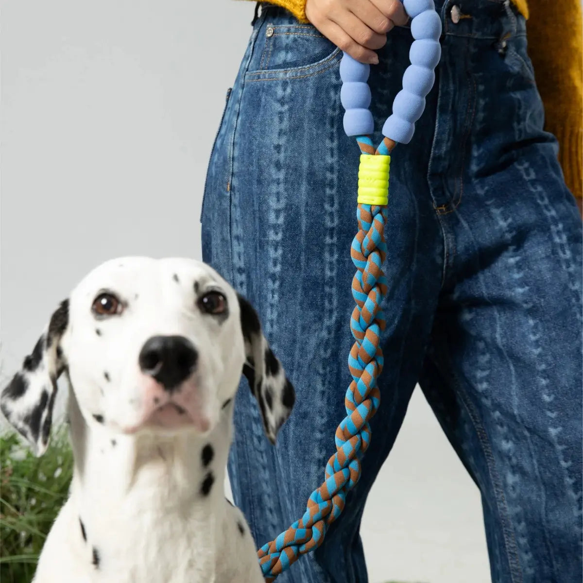 Maogoublue Marshmallow Twisted Dog Leash