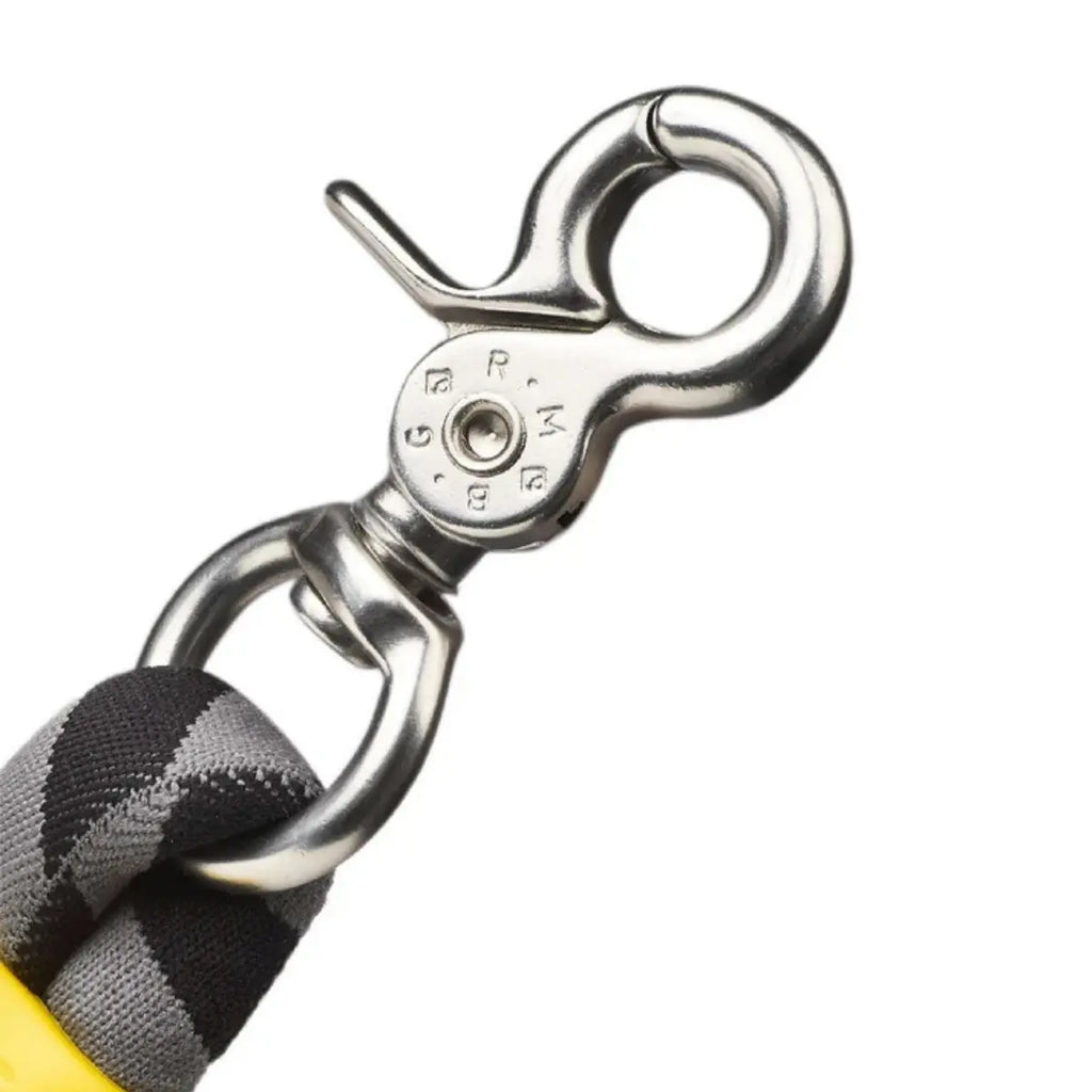 Maogoublue Marshmallow Twisted Dog Leash