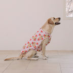 andblank Heart Balloon Joy Bear Bug Guard Cooling Top