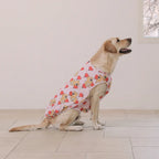 andblank Heart Balloon Joy Bear Bug Guard Cooling Top