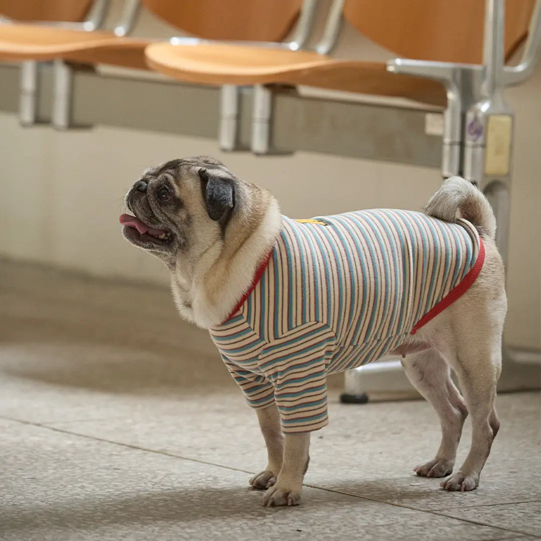 andblank A Stitch SoftWarm Stripe Short Sleeve : Ecru