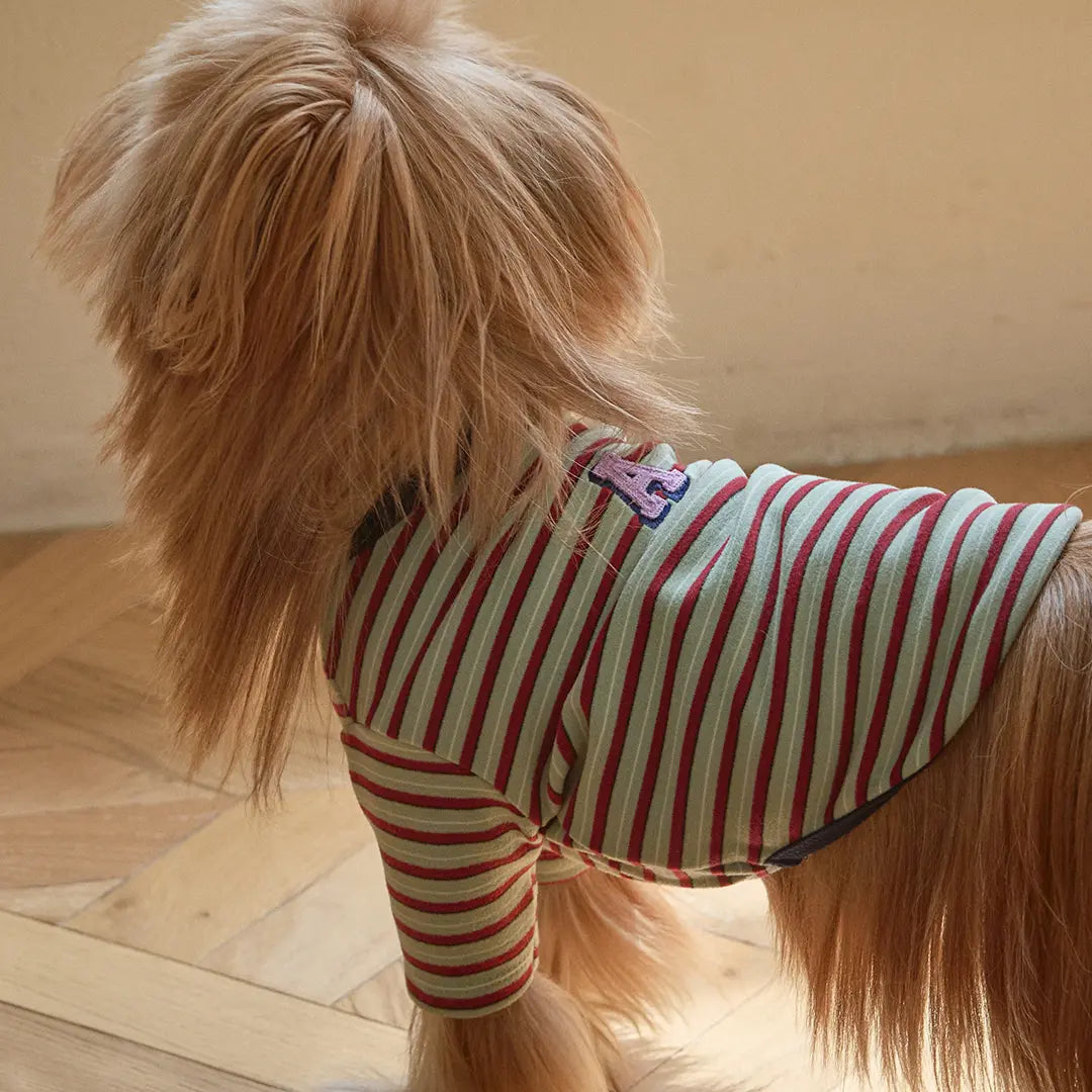andblank A Stitch SoftWarm Stripe Short Sleeve : Green