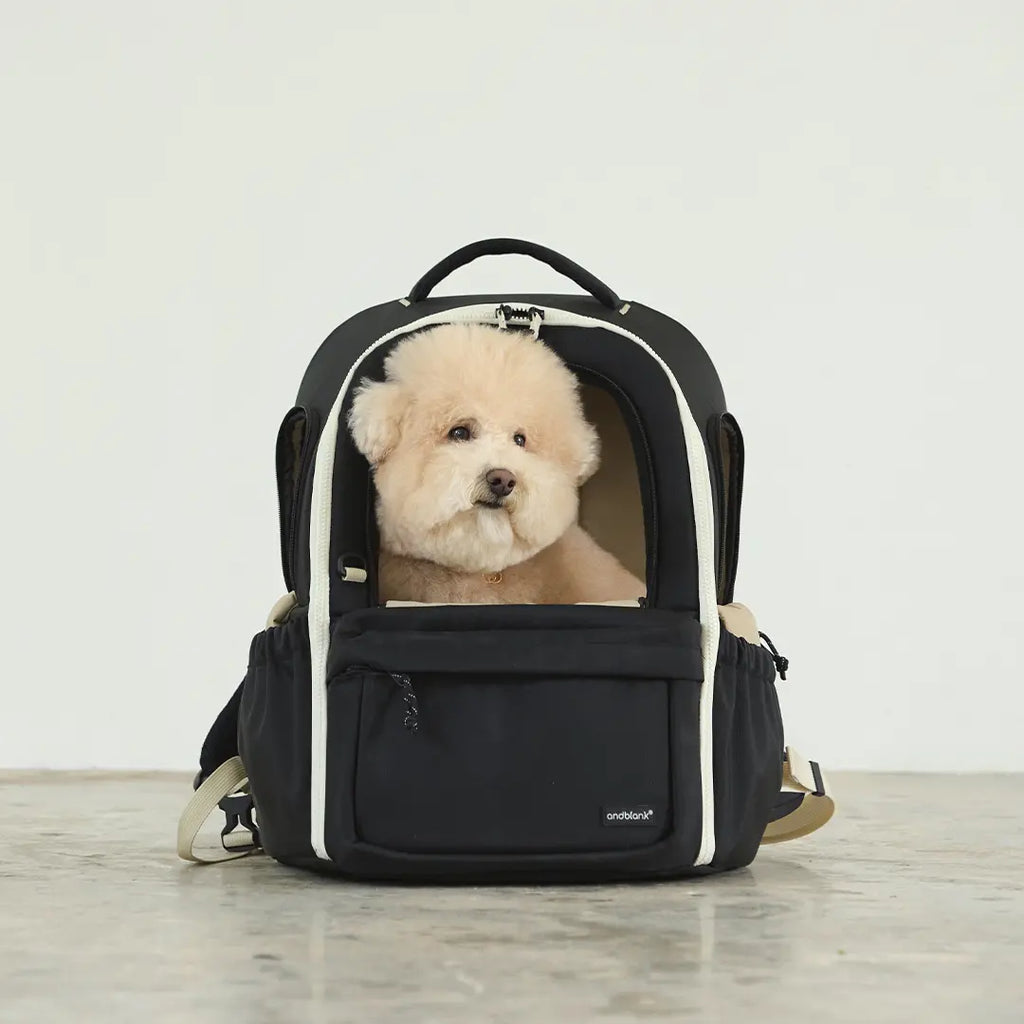 andblank [SET] Day Pack V3 + Cushion
