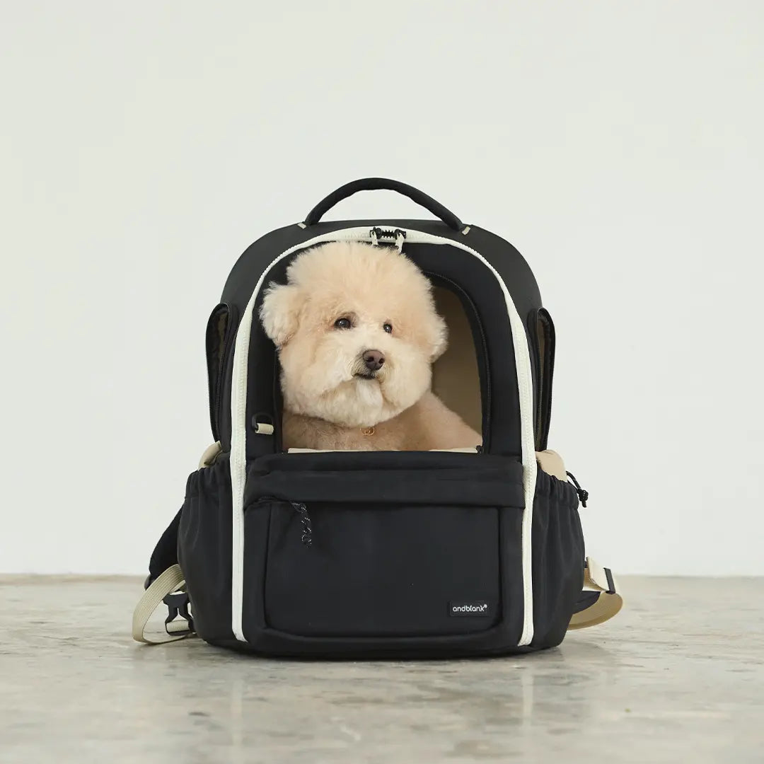 andblank [SET] Day Pack V3 + Cushion