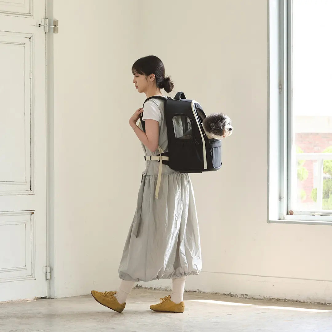 andblank [SET] Day Pack V3 + Cushion