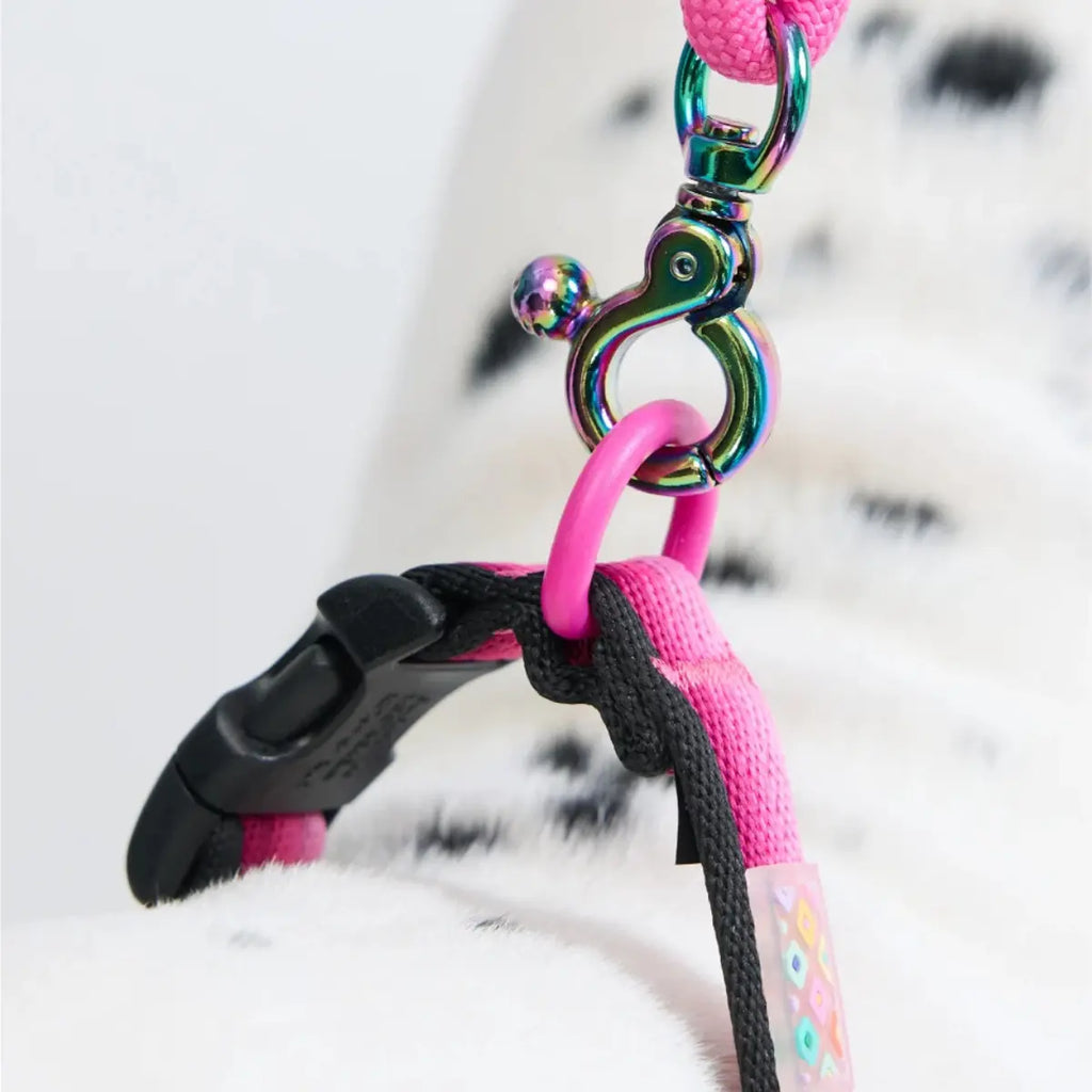 Maogoublue Marshmallow Collar