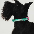 Maogoublue Marshmallow Collar